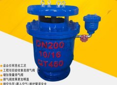 自動排氣閥的市場趨勢是什么