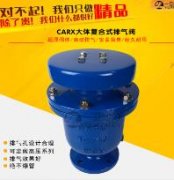 <font color='red'><font color='red'>微量</font>排<font color='red'>氣閥</font></font>為什么會損壞呢？